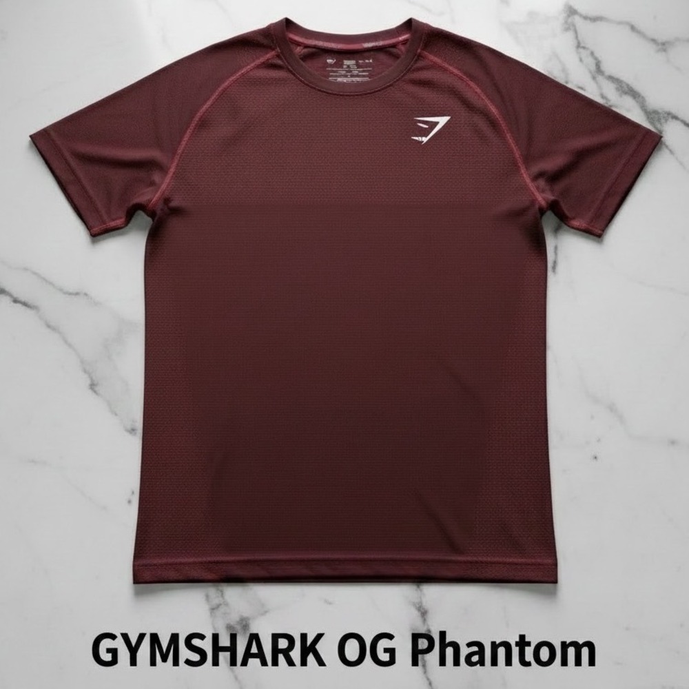Gymshark OG Phantom Seamless T-Shirt V1 Burgundy Red Marl David Laid Size S